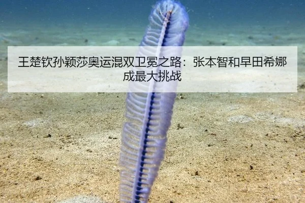 wang-chu-qin-sun-ying-sha-ao-yun-hun-shuang-wei-mian-zhi-lu-zhang-ben-zhi-he-zao-tian-xi-na-cheng-zui-da-tiao-zhan-3-272.jpg