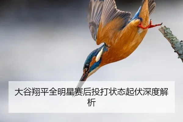 da-gu-xiang-ping-quan-ming-xing-sai-hou-tou-da-zhuang-tai-qi-fu-shen-du-jie-xi-3-633.jpg