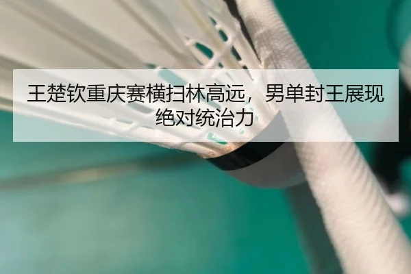 wang-chu-qin-chong-qing-sai-heng-sao-lin-gao-yuan-nan-dan-feng-wang-zhan-xian-jue-dui-tong-zhi-li-2-722.jpg