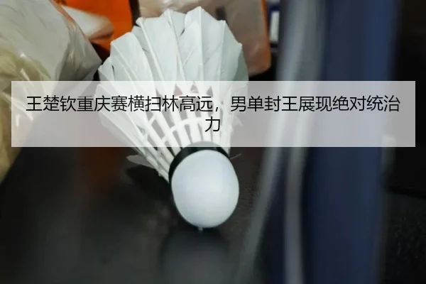 wang-chu-qin-chong-qing-sai-heng-sao-lin-gao-yuan-nan-dan-feng-wang-zhan-xian-jue-dui-tong-zhi-li-3-603.jpg