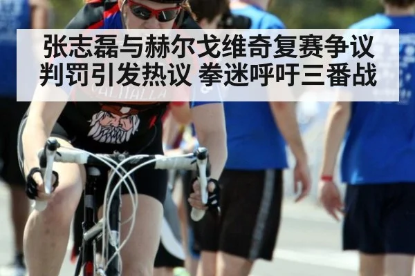 张志磊与赫尔戈维奇复赛争议判罚引发热议 拳迷呼吁三番战